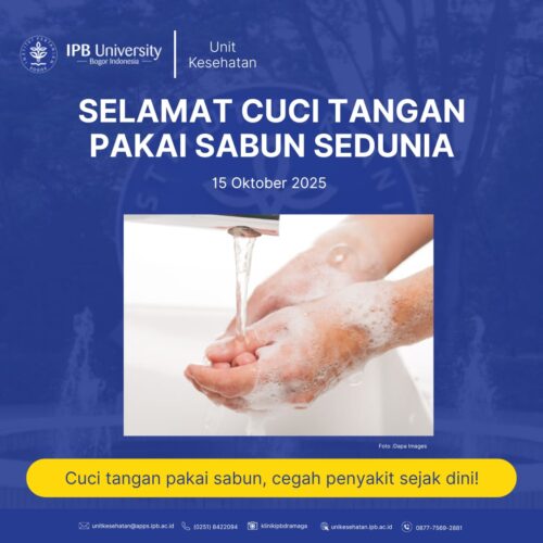 HARI CUCI TANGAN PAKAI SABUN SEDUNIA