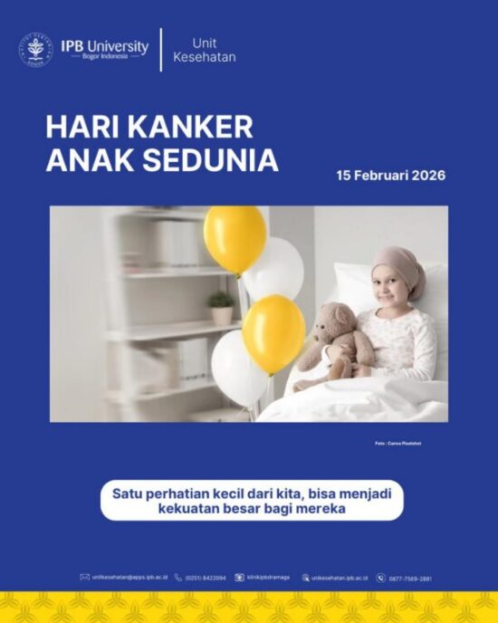 WhatsApp Image 2026-02-14 at 14.06.17