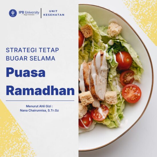 WhatsApp Image 2026-02-19 at 13.35.25